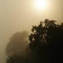 प्रिया वर्मा